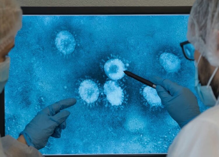 Gripe aviar es candidata a convertirse en la próxima pandemia