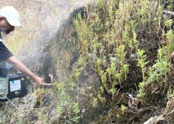 Vulcanólogos de la UES monitorean fumarolas que aparecieron en las faldas del volcán de San Salvador