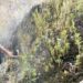 Vulcanólogos de la UES monitorean fumarolas que aparecieron en las faldas del volcán de San Salvador