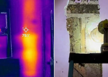 Niña de 3 años advierte a sus padres de ‘monstruos’ en su alcoba y esto encontraron