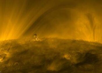 (VIDEO) Todo el poder hipnotizante de la corona «esponjosa» del Sol, en un nuevo video