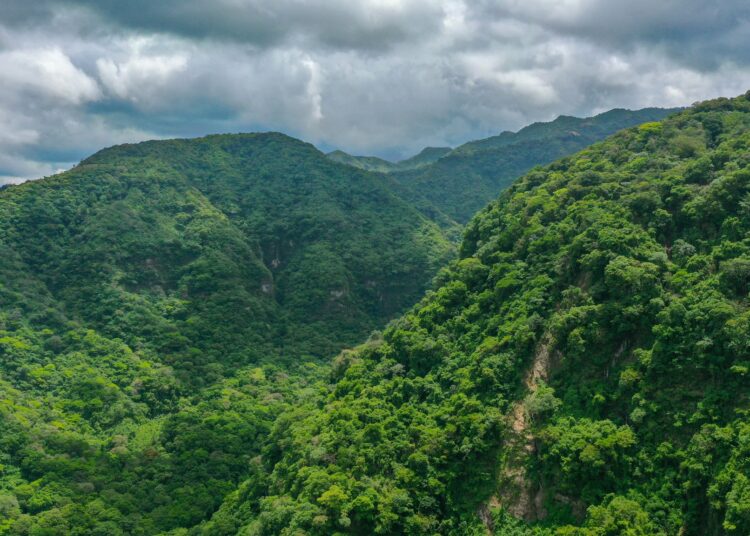 Ambiente cálido y brumoso, con chubascos y tormentas para este viernes