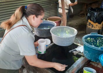 Gobierno se mantiene alerta ante el incremento de casos de dengue en la región