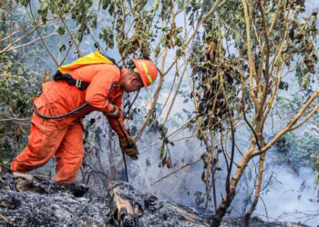 Bomberos sofocan dos incendios de maleza seca en Apopa