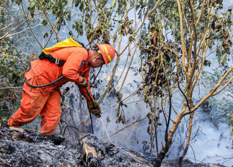 Bomberos sofocan dos incendios de maleza seca en Apopa