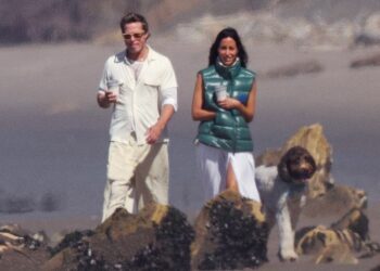 Brad Pitt se muestra con su nueva novia Inés de Ramón, 26 años menor en un paseo por Santa Bárbara