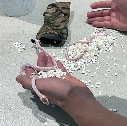 Pasajero de avión trata de esconder en sus pantalones un equipaje inusual