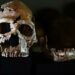 Restauran el rostro de una neandertal de hace 75.000 años, cuyo cráneo fue aplastado