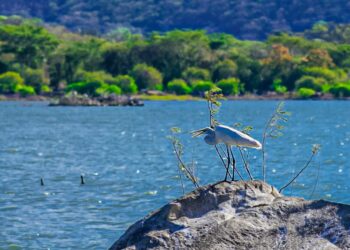 MARN pronostica un ambiente muy cálido para este sábado