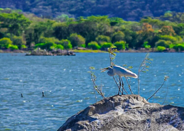 MARN pronostica un ambiente muy cálido para este sábado