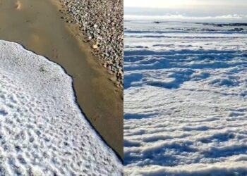 VIDEO: Las olas de mar se congelan por el frío extremo en Argentina