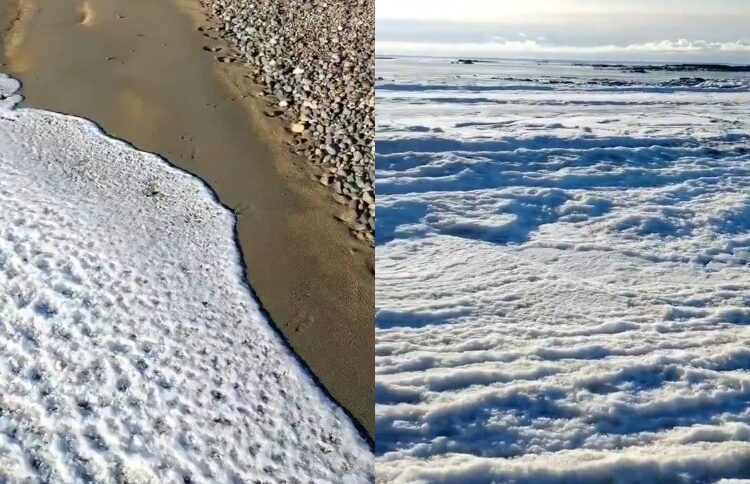 VIDEO: Las olas de mar se congelan por el frío extremo en Argentina