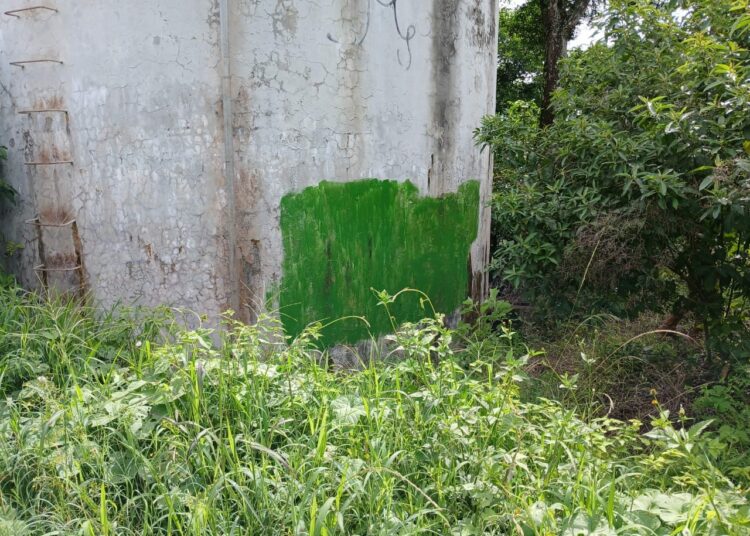 AUTORIDADES ELIMINAN GRAFITIS DE PANDILLAS EN CIUDAD BARRIOS