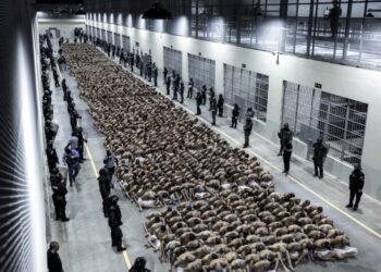 Presidente Nayib Bukele: más de 2,000 pandilleros han sido trasladados al CECOT 