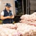 Defensoría verifica que precios de frutas y verduras se mantengan durante la emergencia por lluvias