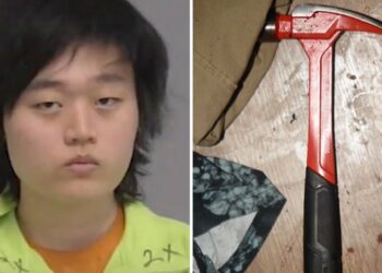 Un joven vuela 1.500 kilómetros para golpear a una persona con la que se peleó en un juego en línea en EEUU