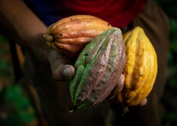 Unión Europea busca implementar reglamento sobre exportaciones de Centroamérica que causaría afectaciones en MIPYMES