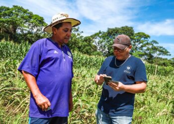 Más de 600 técnicos contabilizan daños en zonas productivas del país para tomar acciones