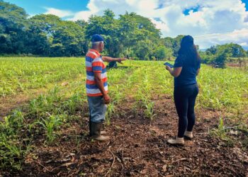 Continúa inspección de daños en zonas agrícolas del país
