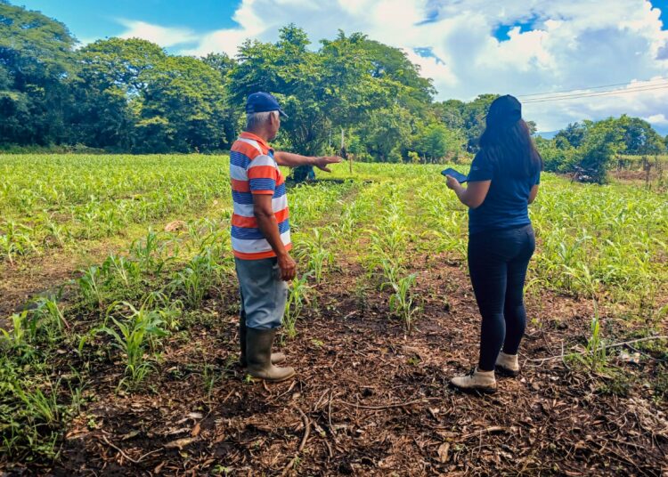 Continúa inspección de daños en zonas agrícolas del país