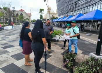 Gobierno obsequiará 50,000 árboles y plantas dentro del Plan Nacional de Reforestación