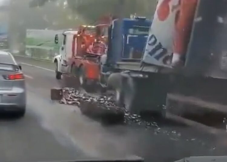 Camión de cervezas colisiona en El Congo, Santa Ana