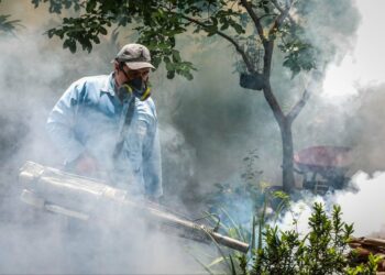 Campaña masiva de fumigación busca prevenir dengue, zika y chikungunya