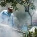 Campaña masiva de fumigación busca prevenir dengue, zika y chikungunya