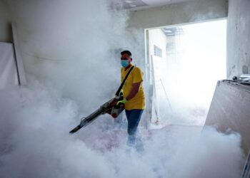 Miles de hogares salvadoreños serán beneficiados con jornada de fumigación