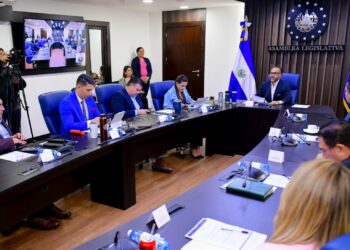 Mejorar voto en el exterior e implementar modalidad electrónica en el país proponen candidatos al TSE presentados por la CSJ