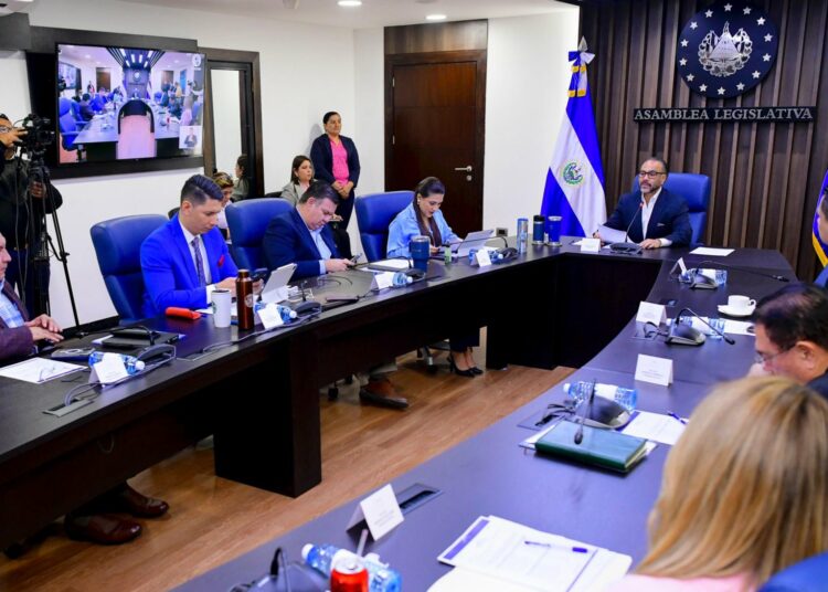 Mejorar voto en el exterior e implementar modalidad electrónica en el país proponen candidatos al TSE presentados por la CSJ