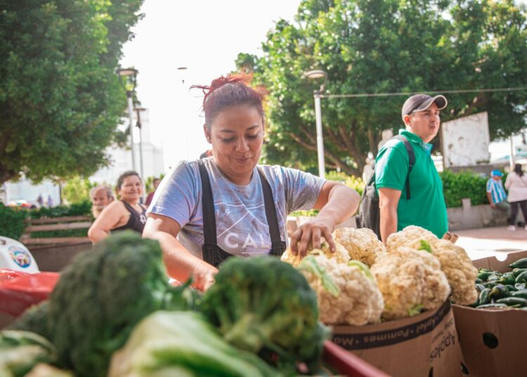 Asamblea refuerza estrategia que busca mejorar y modernizar producción de agroproductos