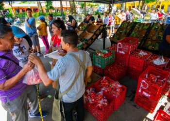Agromercados: Estrategia para que las familias salvadoreñas más vulnerables obtengan alimentos a precios justos