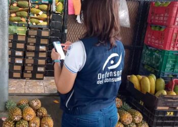 Gobierno redobla esfuerzos para evitar aumento injustificado en frutas y verduras