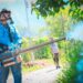 Instituciones de Gobierno se suman a lucha contra el Dengue