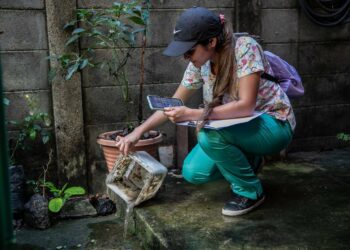 Más de 500 mil casas inspeccionadas y 300 mil fumigadas ante megajornada de acciones contra el Dengue