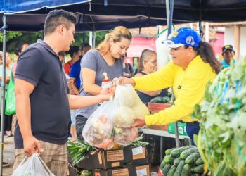 Continúan activos agromercados con precios bajos en verduras y frutas