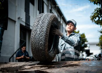 Medio Ambiente finaliza campaña de intercambio de llantas usadas por árboles