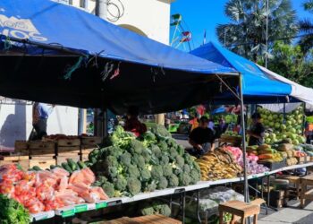 120 productos de la canasta básica e insumos agrícolas ya no pagarán aranceles de importación