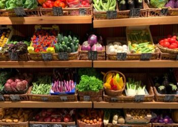 Banco Mundial, Japón y El Salvador conectan a agricultores con mercados y promueven seguridad alimentaria