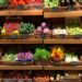 Banco Mundial, Japón y El Salvador conectan a agricultores con mercados y promueven seguridad alimentaria