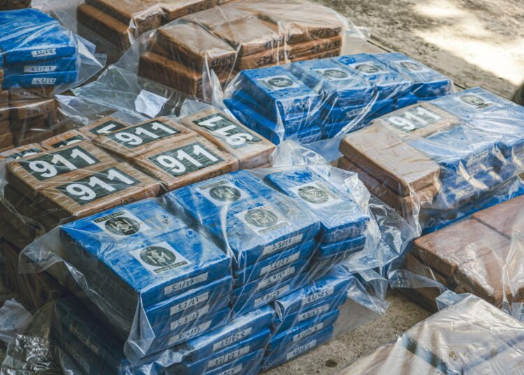 Autoridades destruyen 760 kilos de cocaína