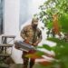 Redoblan esfuerzos para combatir el dengue