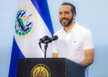 Productores e importadores apoyan la estrategia de los Agromercados del Presidente Bukele