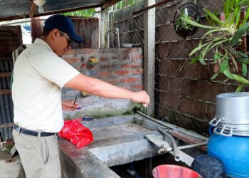OMS alerta que casos de dengue, zika y chikungunya en la región centroamericana podrían triplicarse ante exceso de humedad