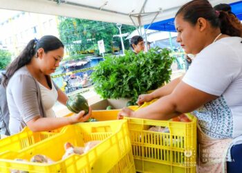Familias de Apopa pudieron realizar compras a precios justos en agromercados impulsados por el Gobierno