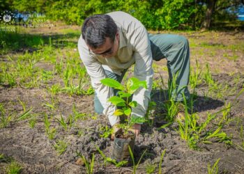 Ministerio de Medio Ambiente lanza por 5o año consecutivo la campaña «Árboles para El Salvador»
