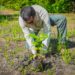Ministerio de Medio Ambiente lanza por 5o año consecutivo la campaña «Árboles para El Salvador»