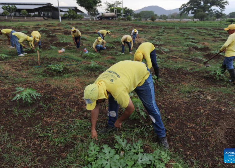 Gobierno de El Salvador rehabilita 48 mil reos no violentos en el país