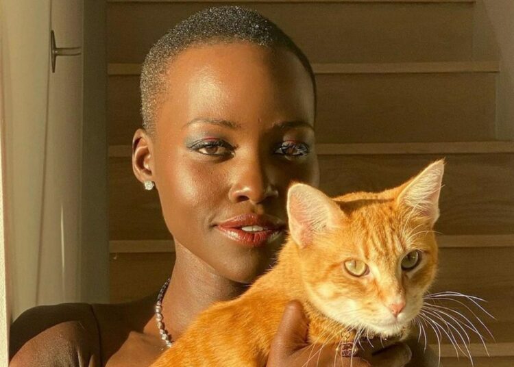 Lupita Nyong’o adoptó un gato para que la ayudara a superar un ‘momento difícil’ y ahora no puede vivir sin él